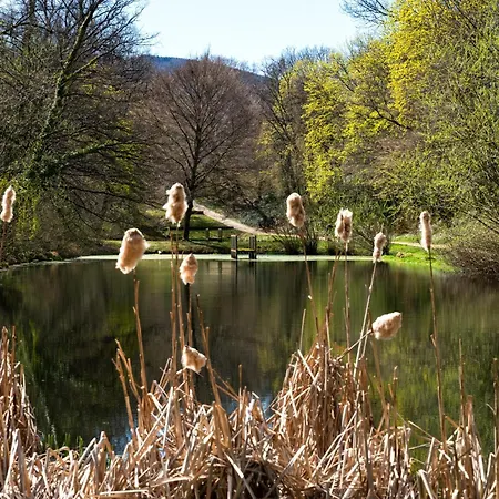 Domschatz Διαμέρισμα