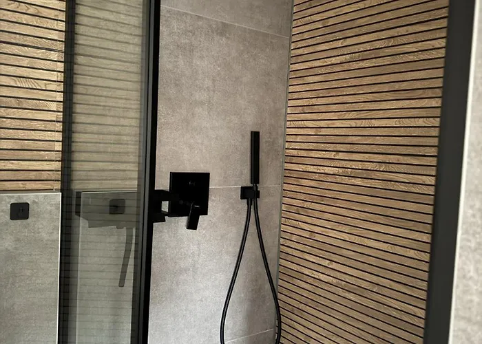 Domschatz * 戈斯拉尔